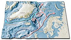 Red: The Gulf Stream Light blu: The East-Greenland Stream Dark blue: Cold deep sea streams. Illustration: Tor Sponga.