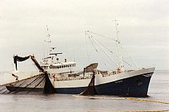 Ringnotsnurperen haler inn den enorme ringnota med kraftblokken. Fra 1960-årene ble de fleste fangstene av sild, makrell, lodde og kolmule tatt med slike høyeffektive havfiskebåter.  Foto: Norges Fiskerimuseum 