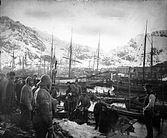 Fiskeværet Svolvær ca. 1890. En viktig møteplass for fiskere. Foruten fiskernes båter ser vi jekter, jakter og galeaser, de siste med fiskekjøpere sørfra. Foto: Ukjent. Lofotmuseet.