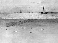 Drivgarnfiske etter sild. Innan dette fisket var mørefiskarane føregangsmenn, og på 1890-talet vart dette fisket drive med godt hell ved Island. Akvarell av Lauritz Haaland. Norges Fiskerimuseum 