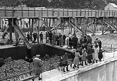 Ein stor del av fangstane gjekk til sildemjøl- og sildoljeindustrien. På dette biletet frå 1951 ser vi eit anlegg i Moldtustranda, Herøy kommune i Møre og Romsdal. Foto: Ukjent. Fiskeri- og kystdepartementet.